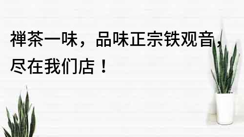 禪茶一味，品味正宗鐵觀音，盡在我們店！