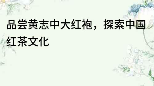 品嘗黃志中大紅袍，探索中國紅茶文化