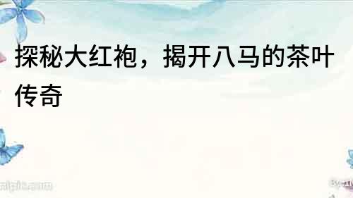 探秘大紅袍，揭開八馬的茶葉傳奇
