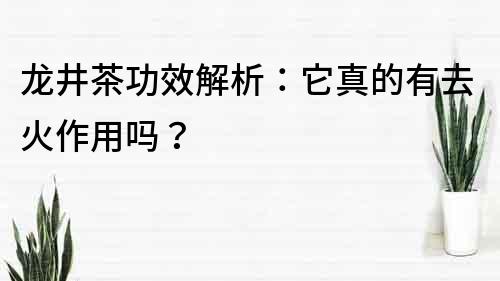 龍井茶功效解析：它真的有去火作用嗎？