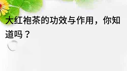 大紅袍茶的功效與作用，你知道嗎？