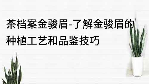茶檔案金駿眉-了解金駿眉的種植工藝和品鑒技巧