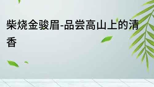柴燒金駿眉-品嘗高山上的清香