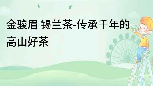 金駿眉 錫蘭茶-傳承千年的高山好茶