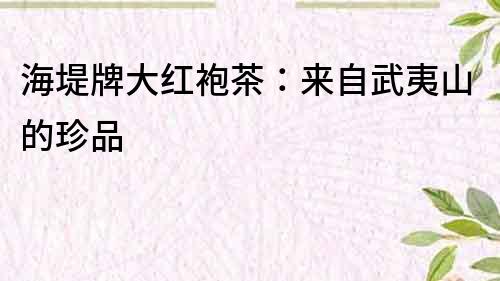 海堤牌大紅袍茶：來自武夷山的珍品
