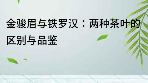 金駿眉與鐵羅漢：兩種茶葉的區(qū)別與品鑒