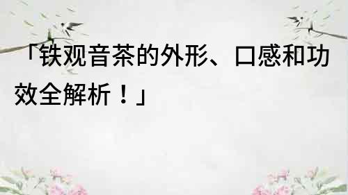 「鐵觀音茶的外形、口感和功效全解析！」