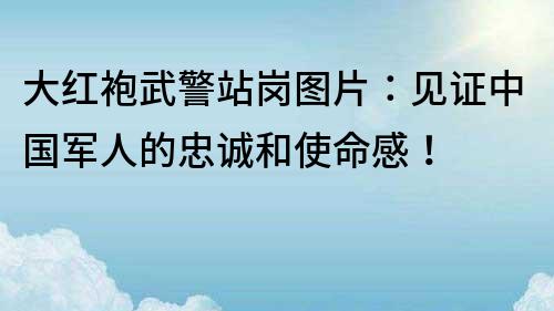 大紅袍武警站崗圖片：見證中國軍人的忠誠和使命感！