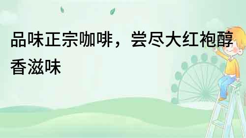 品味正宗咖啡，嘗盡大紅袍醇香滋味