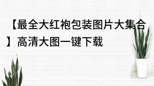 【最全大紅袍包裝圖片大集合】高清大圖一鍵下載
