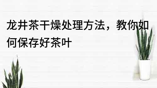 龍井茶干燥處理方法，教你如何保存好茶葉