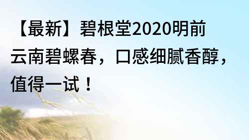 【最新】碧根堂2020明前云南碧螺春，口感細膩香醇，值得一試！