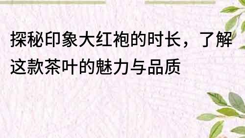 探秘印象大紅袍的時長，了解這款茶葉的魅力與品質