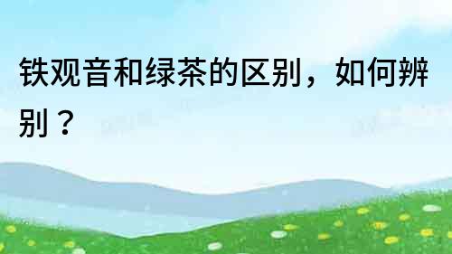 鐵觀音和綠茶的區別，如何辨別？