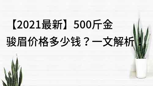 【2022最新】500斤金駿眉價格多少錢？一文解析！