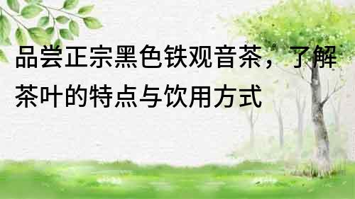 品嘗正宗黑色鐵觀音茶，了解茶葉的特點與飲用方式