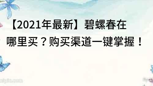 【2021年最新】碧螺春在哪里買？購買渠道一鍵掌握！