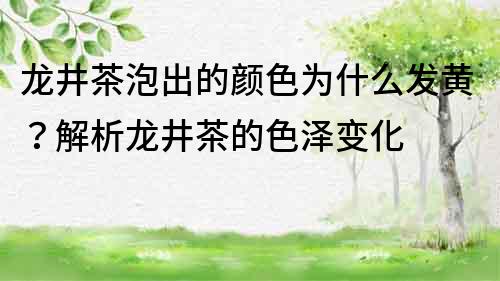 龍井茶泡出的顏色為什么發(fā)黃？解析龍井茶的色澤變化