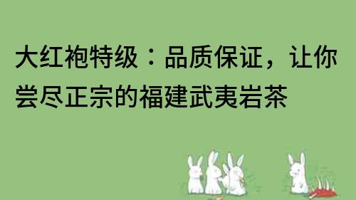 大紅袍特級：品質保證，讓你嘗盡正宗的福建武夷巖茶