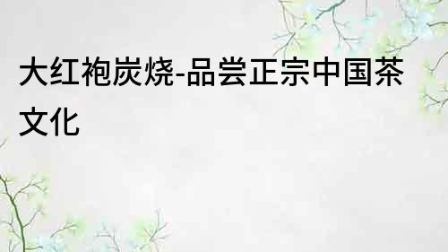 大紅袍炭燒-品嘗正宗中國茶文化