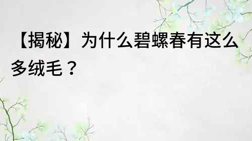 【揭秘】為什么碧螺春有這么多絨毛？