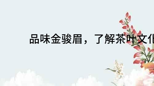 品味金駿眉，了解茶葉文化