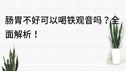 腸胃不好可以喝鐵觀音嗎？全面解析！
