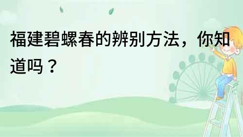 福建碧螺春的辨別方法，你知道嗎？