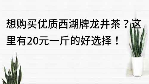 想購買優質西湖牌龍井茶？這里有20元一斤的好選擇！
