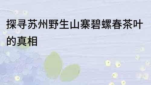 探尋蘇州野生山寨碧螺春茶葉的真相
