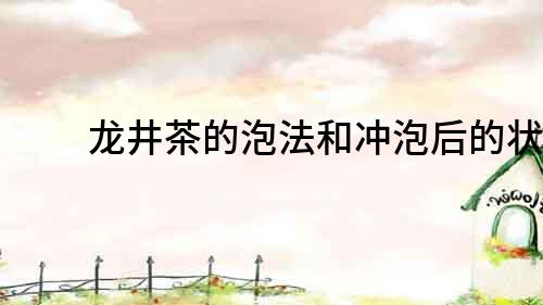 龍井茶的泡法和沖泡后的狀態(tài)