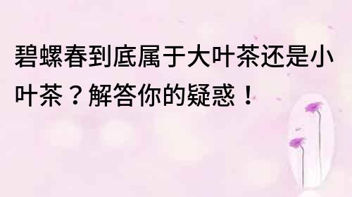碧螺春到底屬于大葉茶還是小葉茶？解答你的疑惑！