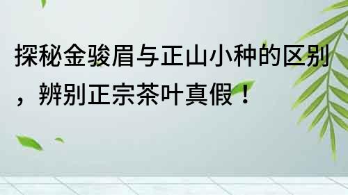 探秘金駿眉與正山小種的區別，辨別正宗茶葉真假！