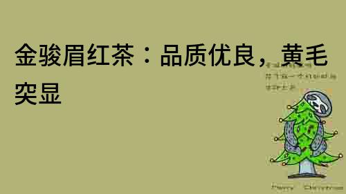 金駿眉紅茶：品質優良，黃毛突顯