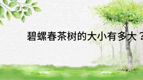 碧螺春茶樹的大小有多大？