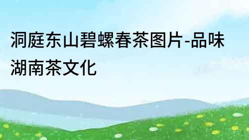 洞庭東山碧螺春茶圖片-品味湖南茶文化