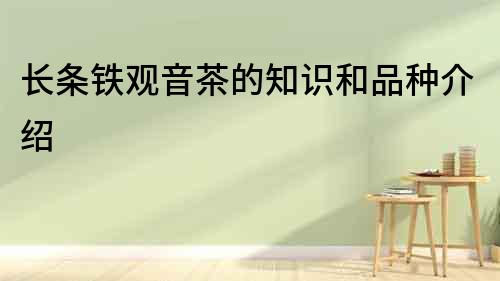 長(zhǎng)條鐵觀音茶的知識(shí)和品種介紹