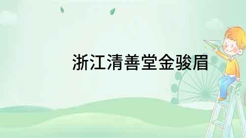 浙江清善堂金駿眉