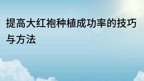 提高大紅袍種植成功率的技巧與方法