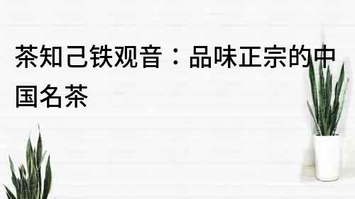 茶知己鐵觀音：品味正宗的中國名茶