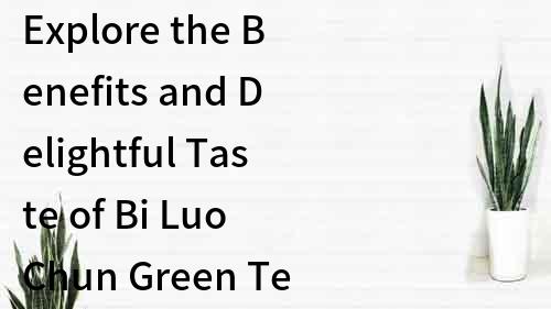 Explore the Benefits and Delightful Taste of Bi Luo Chun Green Tea