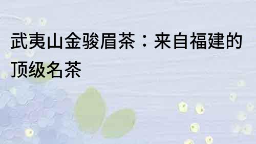 武夷山金駿眉茶：來自福建的頂級名茶