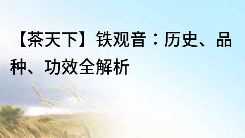 【茶天下】鐵觀音：歷史、品種、功效全解析