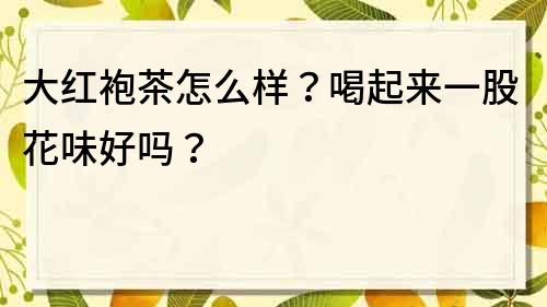 大紅袍茶怎么樣?喝起來一股花味好嗎?