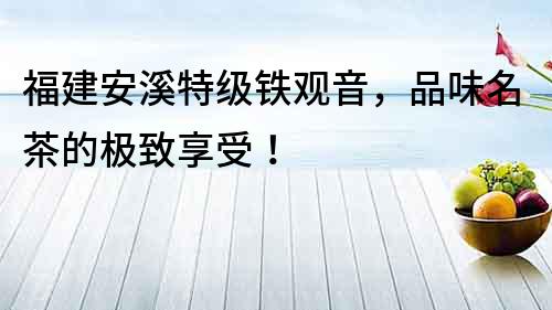 福建安溪特級鐵觀音，品味名茶的極致享受！