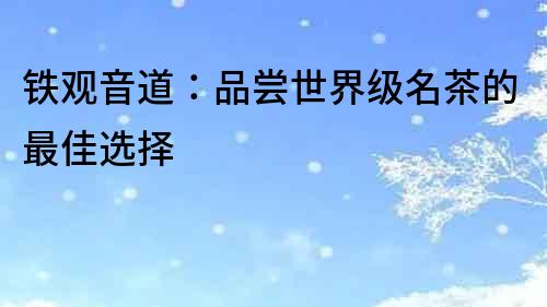 鐵觀音道：品嘗世界級名茶的最佳選擇