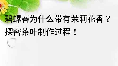 碧螺春為什么帶有茉莉花香？探密茶葉制作過程！