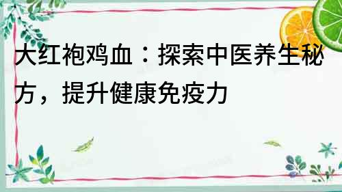 大紅袍雞血：探索中醫養生秘方，提升健康免疫力