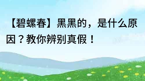 【碧螺春】黑黑的，是什么原因？教你辨別真假！