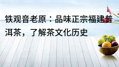 鐵觀音老原：品味正宗福建普洱茶，了解茶文化歷史